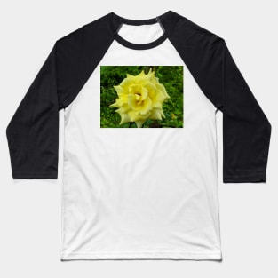 Yellow Rose Wild Baseball T-Shirt